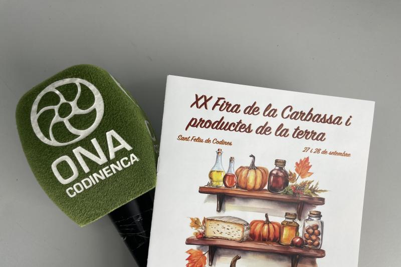 Cartell de la 20a edició de la Fira de la Carbassa i productes de la terra.