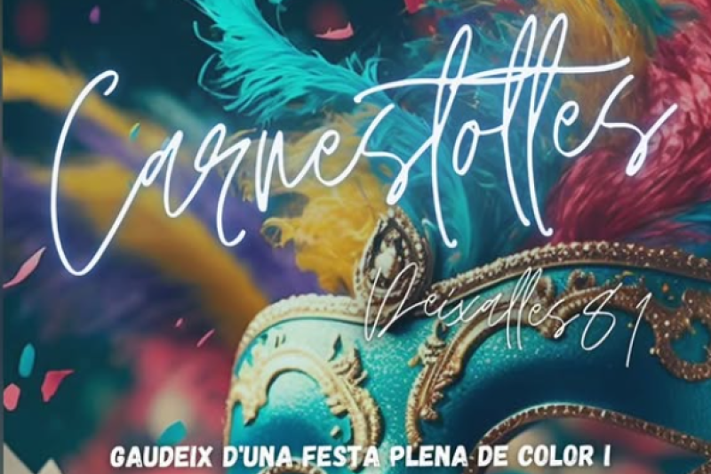 Cartell de la festa de Carnestoltes organitzada per Deixalles 81