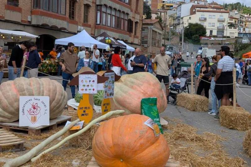 Instant de la Fira de la Carbassa amb les carbasses gegants, el públic i les parades al fons.