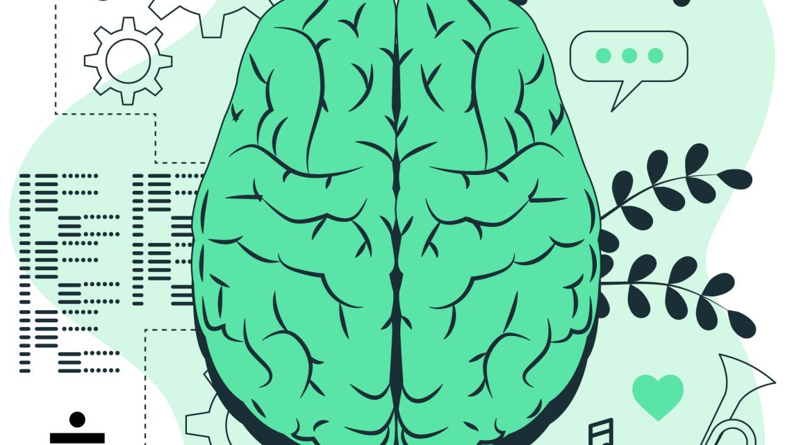 dibuix d'un cervell