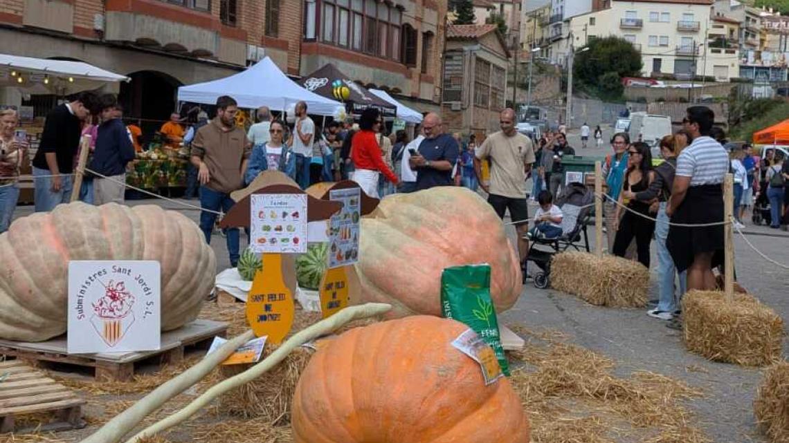 Instant de la Fira de la Carbassa amb les carbasses gegants, el públic i les parades al fons.