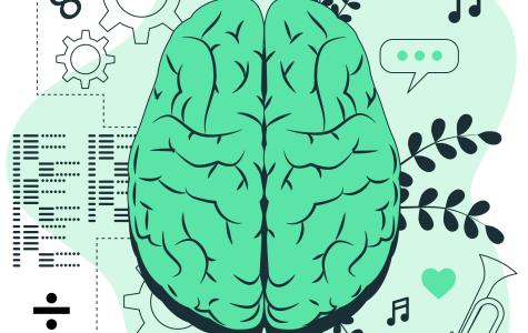 dibuix d'un cervell