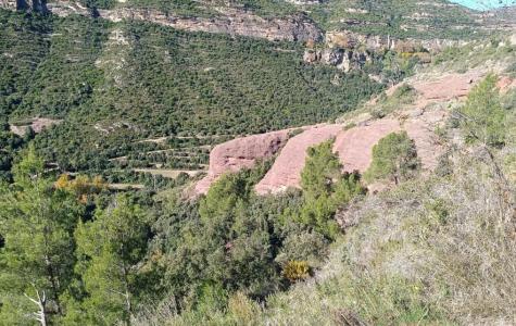 Entorn de Sant Miquel del Fai pertanyent a Bigues i Riells del Fai. Foto MVR.