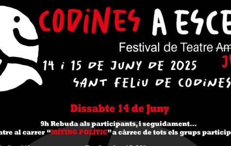 Part del cartell del festival-concurs Codines a Escena que se celebrarà aquest cap de setmana a Sant Feliu