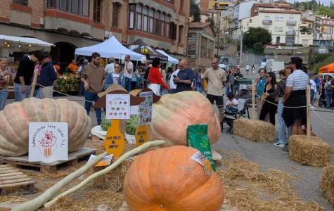 Instant de la Fira de la Carbassa amb les carbasses gegants, el públic i les parades al fons.